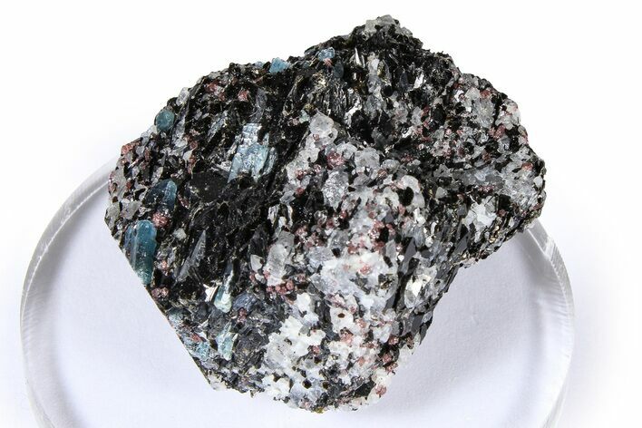 Fluorescent Kyanite & Garnet in Biotite-Quartz Schist - Russia #380687